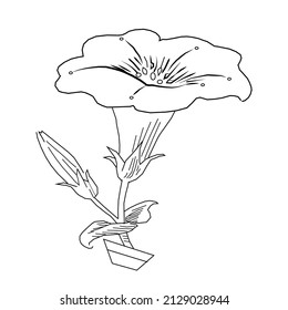 Libro de colorantes de flores. ilustración vectorial. páginas coloreadas. dibujo de esquema.