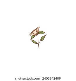 flower coloring with outline outline