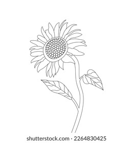 Flower Coloring Page And Book Hand Drawn Line Art Illustration Beautiful Flower Black And White Sunflower Drawing Vector