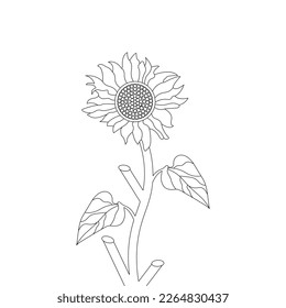 Flower Coloring Page And Book Hand Drawn Line Art Illustration Beautiful Flower Black And White Sunflower Drawing Vector