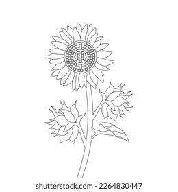 Flower Coloring Page And Book Hand Drawn Line Art Illustration Beautiful Flower Black And White Sunflower Drawing Vector