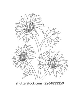 Flower Coloring Page And Book Line Art Illustration Vector