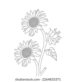 Flower Coloring Page And Book Line Art Illustration Vector