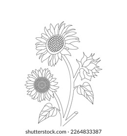 Flower Coloring Page And Book Line Art Illustration Vector