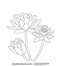 Flower Coloring Page And Book Line Art Illustration Vector