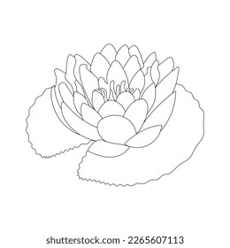 Flower Coloring Page And Book Line Art Illustration Vector