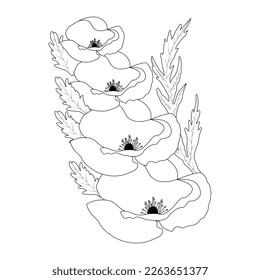Flower Coloring Page And Book Poppy Flower Line Art Hand Drawn Illustration