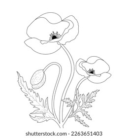 Flower Coloring Page And Book Poppy Flower Line Art Hand Drawn Illustration