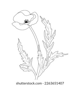 Flower Coloring Page And Book Poppy Flower Line Art Hand Drawn Illustration