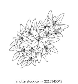 flower coloring page hand drawing line art of black flower with decorative design for print. simplicity artistic drawn with blossom flower on isolated background. meadow wild flower vector design.
