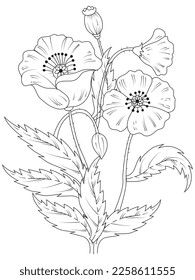 flower coloring page hand drawing line art of black flower with decorative design for print