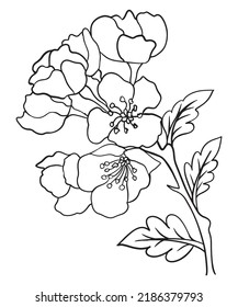 Flower Coloring Page Line Art Vector Stock Vector (Royalty Free ...