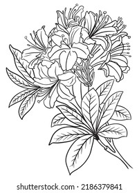 Flower coloring page line art vector blank printable design for children to fill in