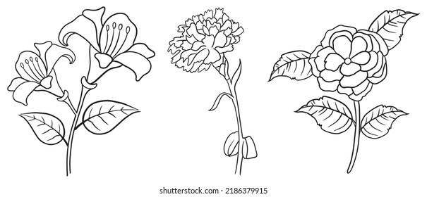 Flower coloring page line art vector blank printable design for children to fill in