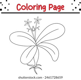 flor para colorear página. primavera elemento de diseño para colorear libro.