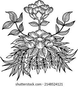 ilustración de esquema vectorial de página de color de flores
