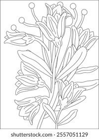 Flower Coloring Page Vectors and Illustrations