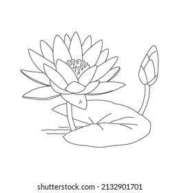 Flower Coloring vector line art for book and drawing.