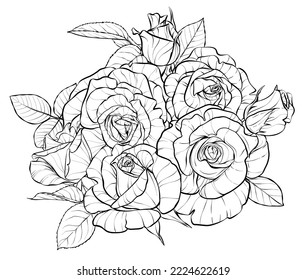 Flower composition, a bouquet. Large rosebuds. Illustration sketch in black and white style.