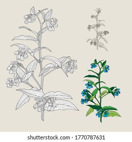 Flower composition. For textiles, wallpaper, decor.