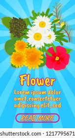 Flower concept banner. Isometric banner of flower comics vector concept for web, giftcard and postcard