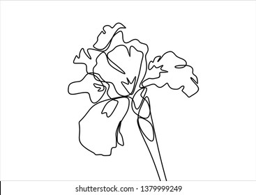 Flower. Continuous line