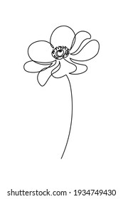 Flower in continuous line art drawing style. Anemone windflower black linear sketch isolated on white background. Vector illustration