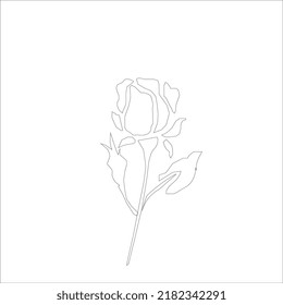 Flower in continuous line art drawing style. Minimalist black linear design isolated on white background. Vector illustration