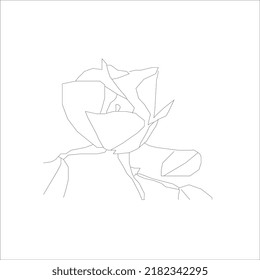 Flower in continuous line art drawing style. Minimalist black linear design isolated on white background. Vector illustration