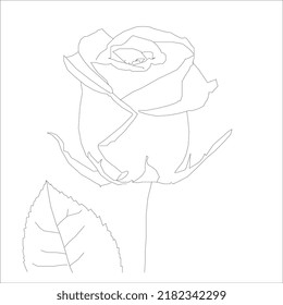 Flower in continuous line art drawing style. Minimalist black linear design isolated on white background. Vector illustration