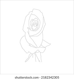 Flower in continuous line art drawing style. Minimalist black linear design isolated on white background. Vector illustration