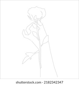 Flor en estilo de dibujo de línea continua. Diseño lineal negro minimalista aislado sobre fondo blanco. Ilustración del vector