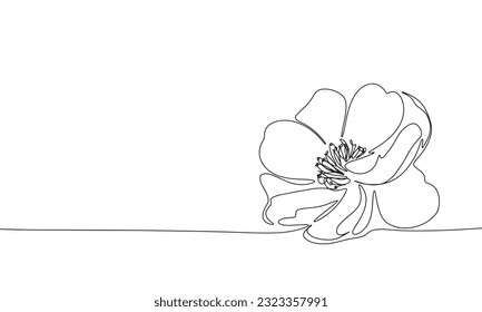 Flower in continuous line art drawing style. Silhouette of abstract flower. Black linear sketch isolated on white background. Vector illustration