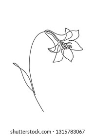 Flower continuous line drawing