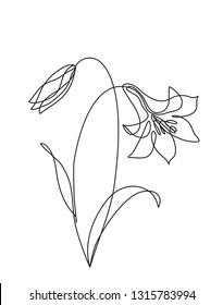 Flower continuous line drawing