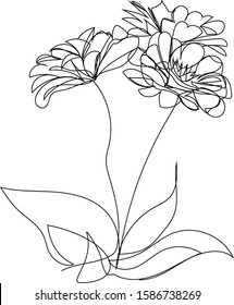 Flower - continuous line drawing.