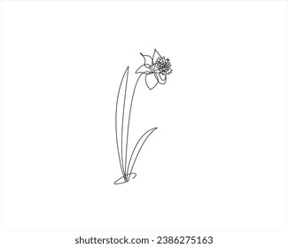 flower continuous line drawing single hand drawn set element collections. Minimalist floral botanical garden vector