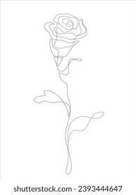 Flower continuous one line art drawing vector illustration. Minimalist contour drawing.  Awesome rose isolated on white background.
