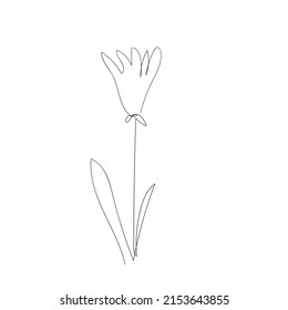 flower continuous one line icon. Isolated single flower silhouette. Modern minimal style linear logo. Floral element, symbol for poster, social media stories, card, cover. Vector scribble