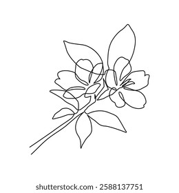 Flower Continuous One Line Vector Illustration. Botanical Wall Art Design with Simple Flowers Continuous Line Drawing. Floral Doodle Vector Illustration in Simple Linear Style. Not AI