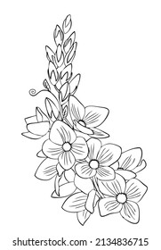 Flower corner. Element for coloring page. Cartoon style.