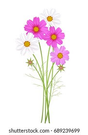 花 コスモス のイラスト素材 画像 ベクター画像 Shutterstock
