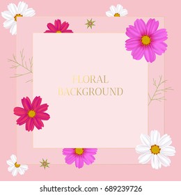 Flower Cosmos Beautiful floral background. Wildflowers Border with Square frame decorated with flowers.