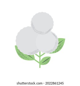 Flower With Cotton Balls Icon Isolated