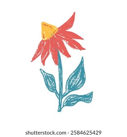 Flower crayon drawn. Spring daisy plant doodle isolated on white background. Summer floral kids element. Chalk or pastel style childish wildflower nature shape. Vector naive illustration by pencil.