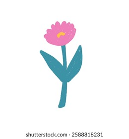 Flower crayon drawn. Spring daisy plant doodle isolated on white background. Summer floral kids element. Chalk or pastel style childish wildflower nature shape. Vector naive illustration by pencil.