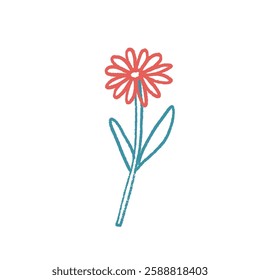 Flower crayon drawn. Spring daisy plant doodle isolated on white background. Summer floral kids element. Chalk or pastel style childish wildflower nature shape. Vector naive illustration by pencil.