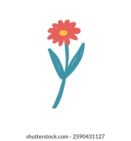 Flower crayon drawn. Spring daisy plant doodle isolated on white background. Summer floral kids element. Chalk or pastel style childish wildflower nature shape. Vector naive illustration by pencil.