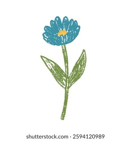Flower crayon drawn. Spring daisy plant doodle isolated on white background. Summer floral kids element. Chalk or pastel style childish wildflower nature shape. Vector naive illustration by pencil.