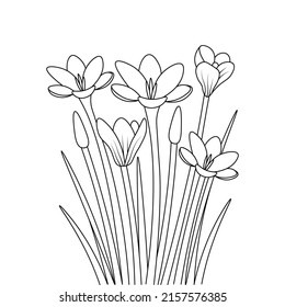 flower creative pencil line art coloring page for kid and adult
